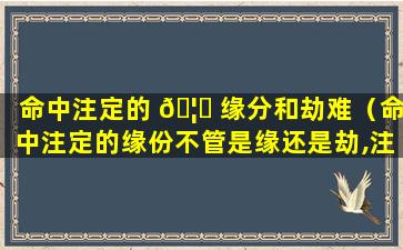 命中注定的 🦄 缘分和劫难（命中注定的缘份不管是缘还是劫,注定是逃不走的）